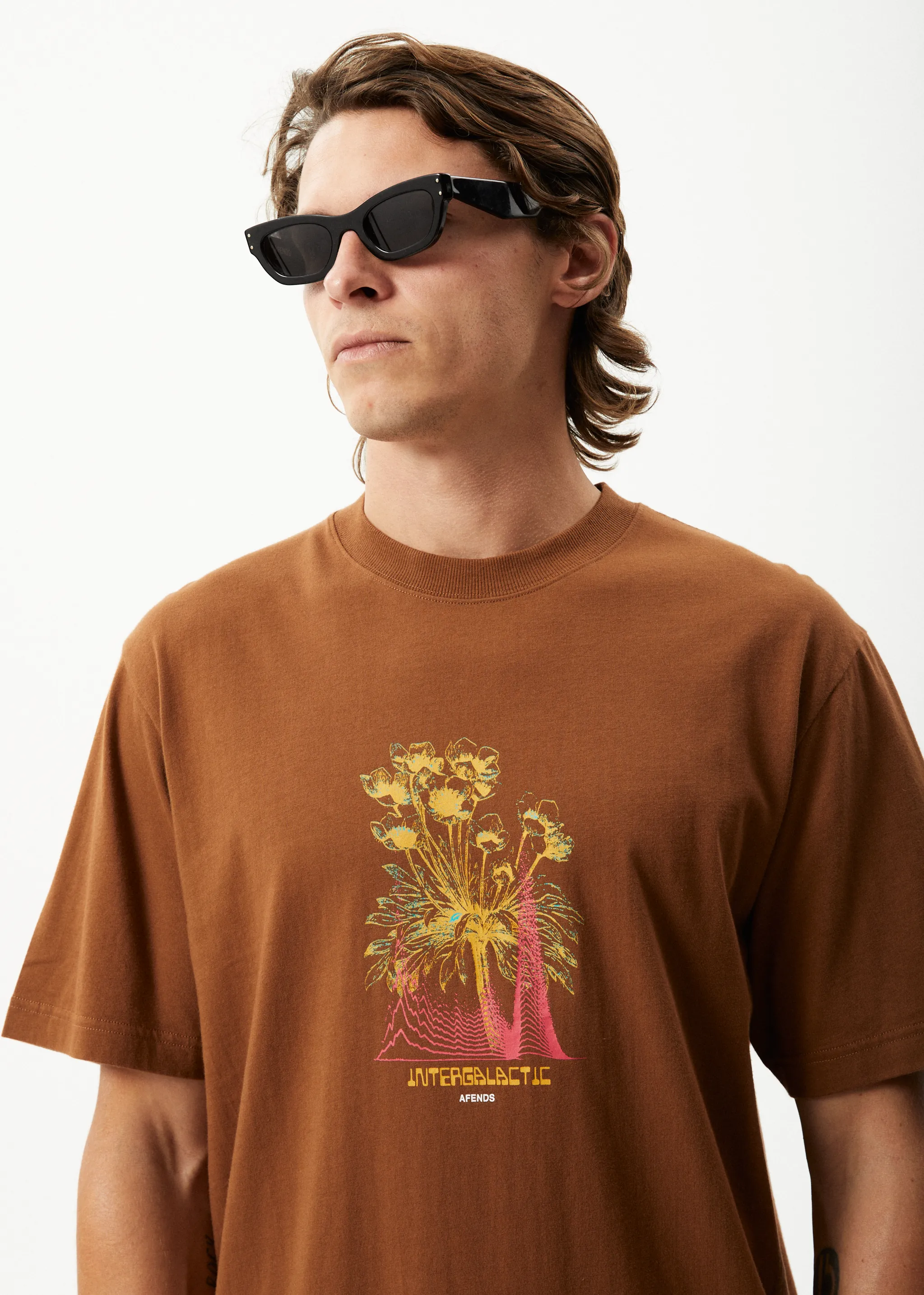 AFENDS Mens Gardener - Retro Graphic T-Shirt - Toffee