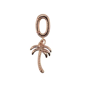 PRE-SHOP - Interchangeable Palm Charm